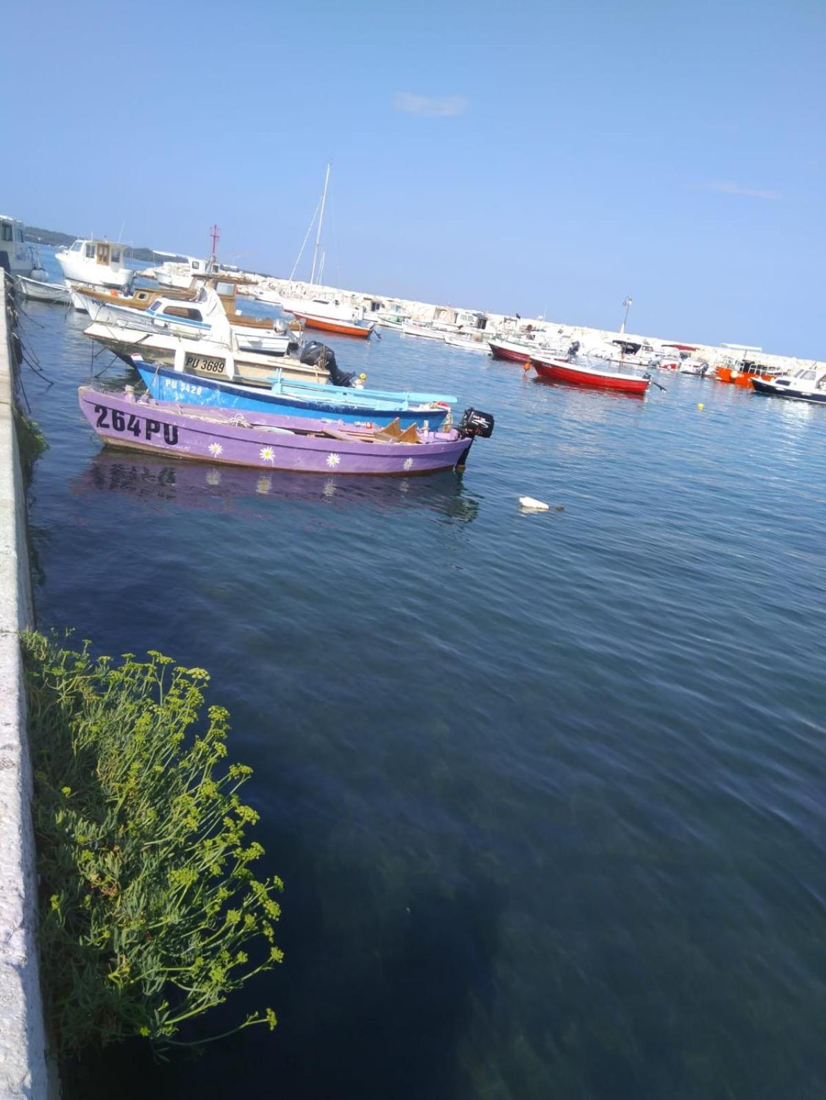 Hotel Villa Vera 2 Fazana Bagian luar foto